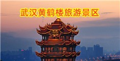 女人操嫩逼片一