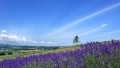 用爱操逼AV日本一地6日游  境外旅游 6880元/人